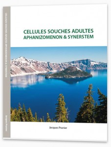 Adulte Stammzellen, Aphanizomenon (AlphaOne) und Synerstem, die Arbeit von Jacques Prunier, Gründer von SynerJ-Health, an dieser fantastischen Alge.