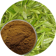 Le thé vert, aux propriétés anti-oxydantes puissantes, vous aidera à retrouver votre bien-être et votre santé avec l'aide du SynerBoost du groupe SynerJ-Health de Jacques Prunier.